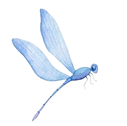 Libelle